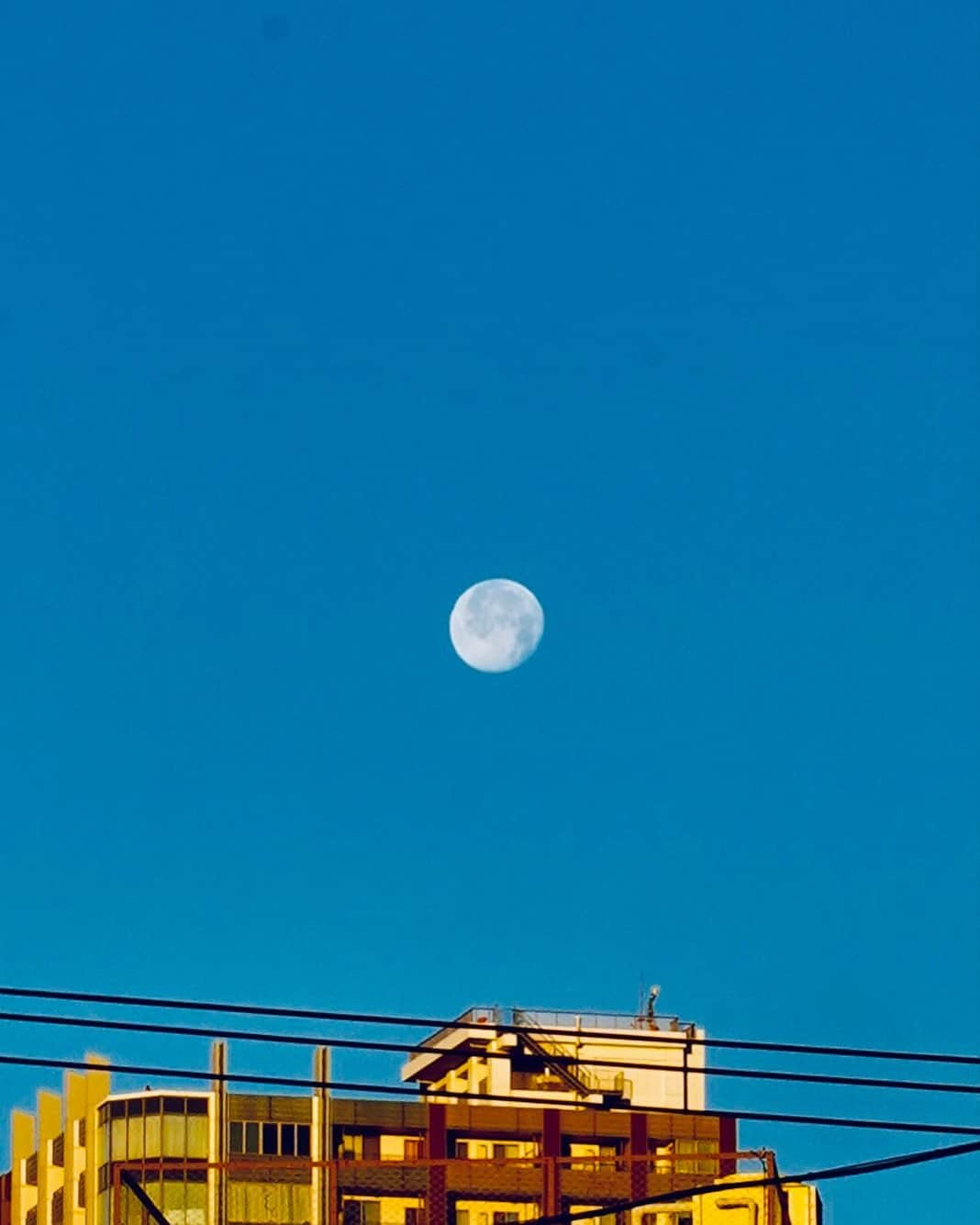 奇妙礼太郎さんのインスタグラム写真 - (奇妙礼太郎Instagram)「#morningmoon」1月11日 22時17分 - reitaro_strange