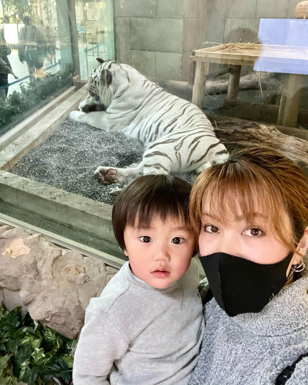 輝良まさとさんのインスタグラム写真 - (輝良まさとInstagram)「・ 真那人、今日で1歳7ヶ月に❤️ おめでとう😆❤️早いもんだ💨 ・ もぅお外遊びは私が寒さに耐えられないので、今日はららぽーとエキスポシティへ遊びに行ってきました❣️ あーーんなに広いのに前行った時も今日も行った場所はフードコートとひつじのショーンの遊び場と外にある空の広場だけ😂😂笑 ショッピングなんてこれっぽっちもしてないし、ウィンドウショッピングも全くもってしてません😂😂笑 ・ ひつじのショーンが意外と遊べる場所が少なかったので（私的にここ場所持て余してない？もっと遊具とか設置すればいいのにと思ってしまった😅）、小一時間ほど遊んでそのあとニフレルに行ってみました‼️ ・ ニフレル、期待していなかったのですが思ってたより良かった❣️ 真那人も色々な魚を見ながら楽しそうに歩き回っていたし、ホワイトタイガーやワニ、カピバラやワオキツネザルなどもいてここはリピートありだな👍 ・ ららぽーとエキスポシティ、今度は1人でゆっくり回ってみたいもんです🤣笑 ・ ・ ・ #ららぽーとエキスポシティ#ニフレル#ひつじのショーン#レインボーベビー#レインボーベビー真那人#令和元年ベビー#6月生まれ#1歳#1歳7ヶ月#なりました#赤ちゃん#赤ちゃんのいる生活#ままのて#ママリ#ベビフル#可愛い#愛おしい」1月11日 22時21分 - kirahama0703