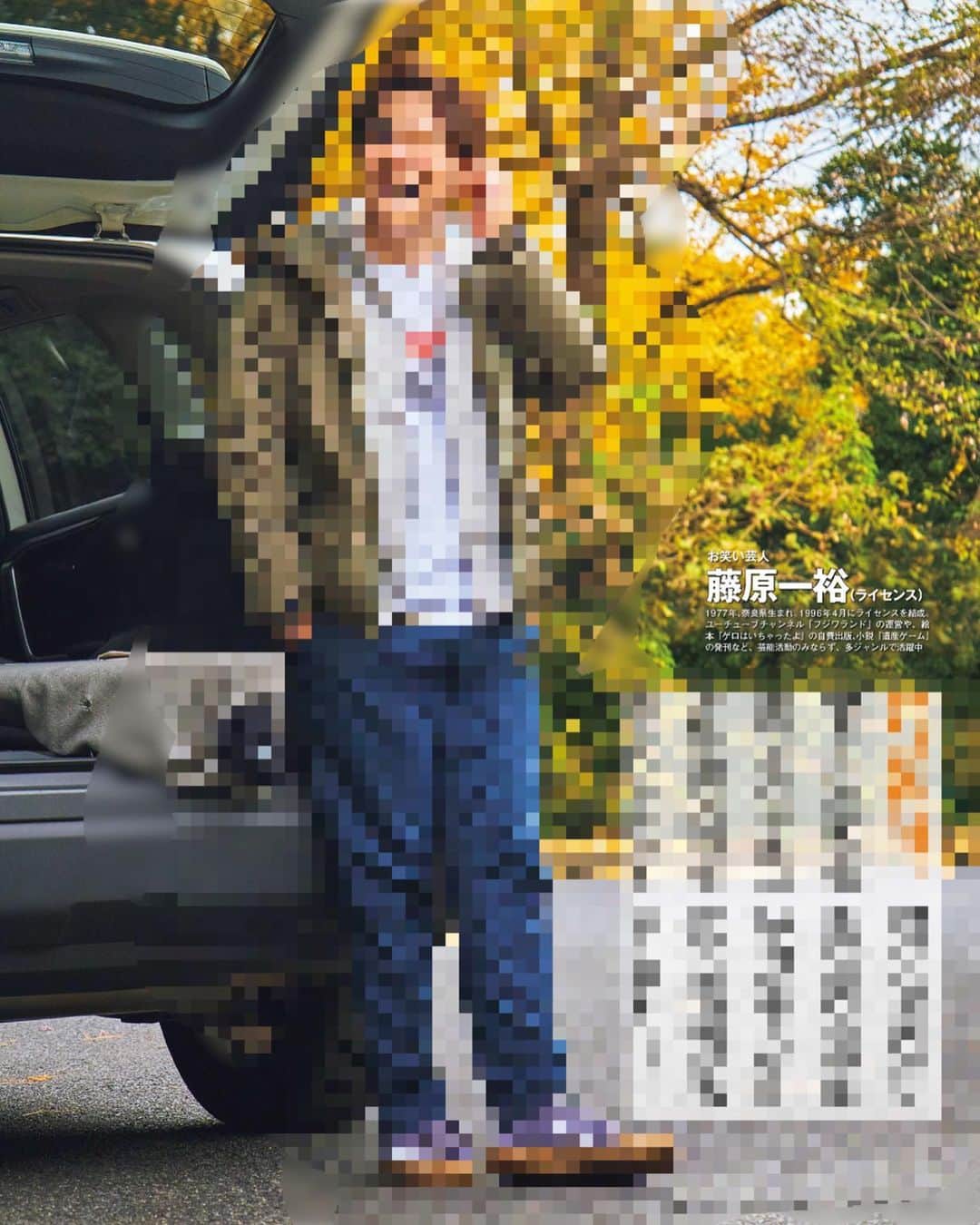 ライセンス Dvd まとめ売り 藤原一裕 井本貴史 50 Off