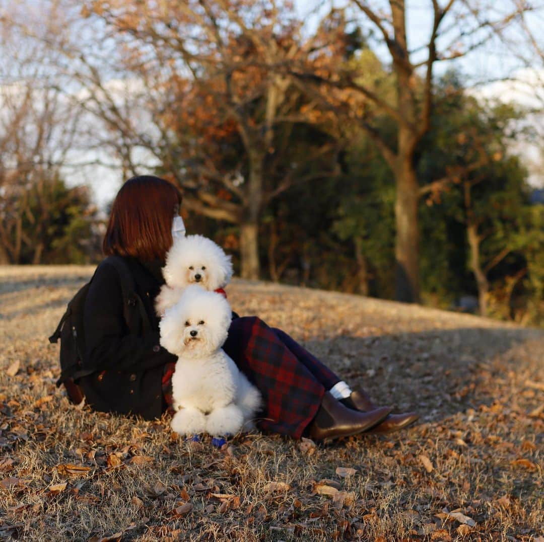 ゆうさんのインスタグラム写真 - (ゆうInstagram)「. . 団子🍡みたい（笑） . . . .」1月11日 17時35分 - ernie_pooh_