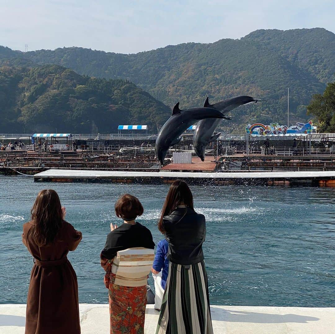 椎名佐千子さんのインスタグラム写真 - (椎名佐千子Instagram)「番組のロケで大分県津久見市へ♪ 色々経験できて楽しかったし、とても充実した一日でした！ 出会った方もあたたかくて良い町でした(*^^*) また行きたい！！！  #大分県津久見市 #ロケ #イルカ #イルカショーたのしかった💓  #なごり雪唄ったよ #藤野とし恵さん #岩佐美咲さん #楽しい一日 #ありがとうございました」1月11日 17時51分 - enkano.shiinasachikodes