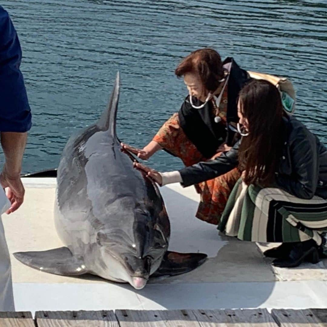 椎名佐千子さんのインスタグラム写真 - (椎名佐千子Instagram)「番組のロケで大分県津久見市へ♪ 色々経験できて楽しかったし、とても充実した一日でした！ 出会った方もあたたかくて良い町でした(*^^*) また行きたい！！！  #大分県津久見市 #ロケ #イルカ #イルカショーたのしかった💓  #なごり雪唄ったよ #藤野とし恵さん #岩佐美咲さん #楽しい一日 #ありがとうございました」1月11日 17時51分 - enkano.shiinasachikodes