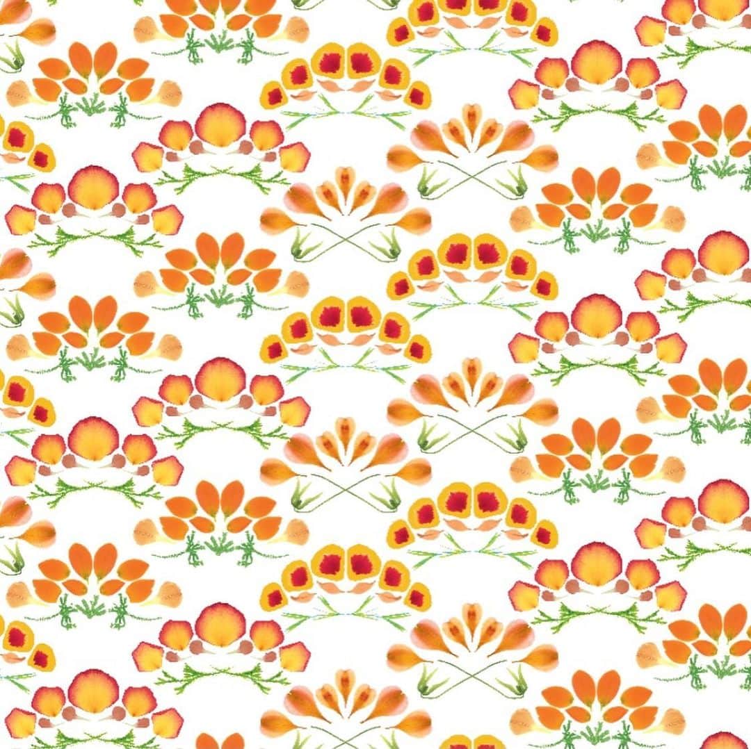 planticaさんのインスタグラム写真 - (planticaInstagram)「HANA SEIGAIHA / 花青海波﻿ ﻿ 伝統的な和柄の図案から着想した、﻿ 本物の花びらを使って再構築した花柄です。﻿ ﻿ ---﻿ Floral Pattern Collection by plantica﻿ プランティカ花柄図案集﻿ ﻿ #plantica #プランティカ﻿ #textiledesign #テキスタイルデザイン ﻿ #floralpattern #花柄 #図案﻿ ---」1月11日 17時56分 - plantica_jp