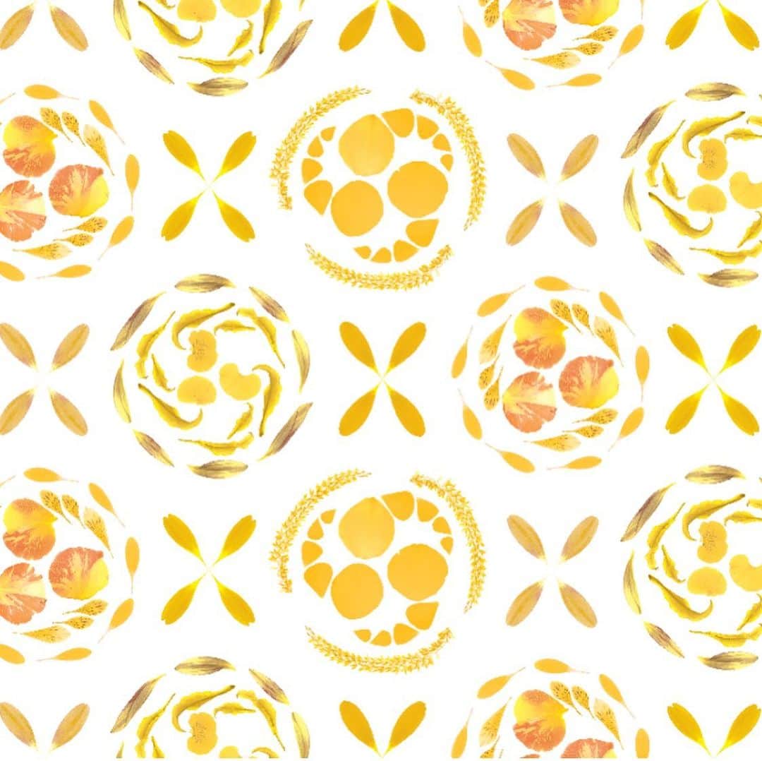 planticaさんのインスタグラム写真 - (planticaInstagram)「GOTENMARI / 御殿毬﻿ ﻿ 伝統的な和柄の図案から着想した、﻿ 本物の花びらを使って再構築した花柄です。﻿ ﻿ ---﻿ Floral Pattern Collection by plantica﻿ プランティカ花柄図案集﻿ ﻿ #plantica #プランティカ﻿ #textiledesign #テキスタイルデザイン ﻿ #floralpattern #花柄 #図案﻿ ---」1月11日 17時57分 - plantica_jp