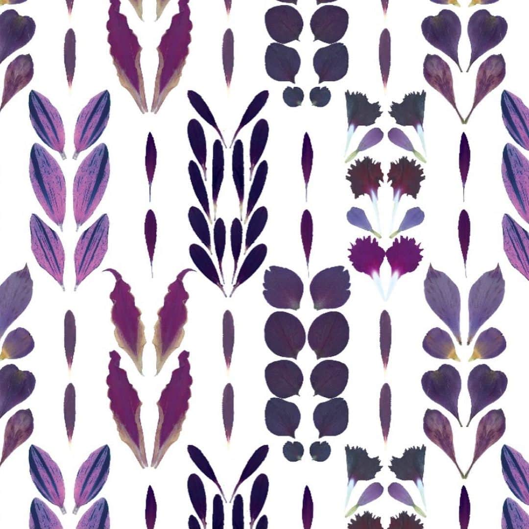 planticaさんのインスタグラム写真 - (planticaInstagram)「YAGASURI / 矢絣﻿ ﻿ 伝統的な和柄の図案から着想した、﻿ 本物の花びらを使って再構築した花柄です。﻿ ﻿ ---﻿ Floral Pattern Collection by plantica﻿ プランティカ花柄図案集﻿ ﻿ #plantica #プランティカ﻿ #textiledesign #テキスタイルデザイン ﻿ #floralpattern #花柄 #図案﻿ ---」1月11日 17時58分 - plantica_jp