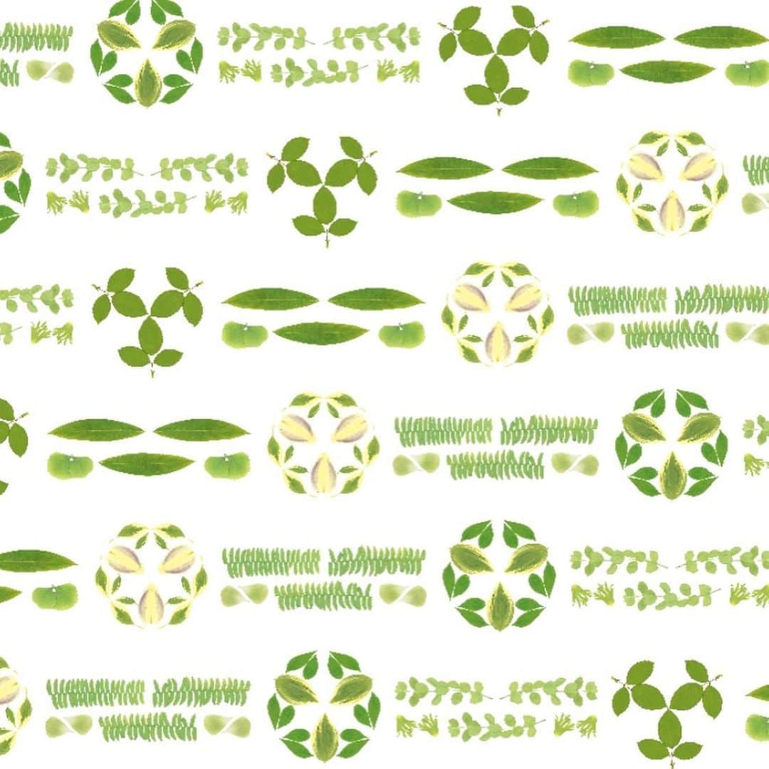 planticaさんのインスタグラム写真 - (planticaInstagram)「KASUMI / 霞﻿ ﻿ 伝統的な和柄の図案から着想した、﻿ 本物の花びらを使って再構築した花柄です。﻿ ﻿ ---﻿ Floral Pattern Collection by plantica﻿ プランティカ花柄図案集﻿ ﻿ #plantica #プランティカ﻿ #textiledesign #テキスタイルデザイン ﻿ #floralpattern #花柄 #図案﻿ ---」1月11日 17時59分 - plantica_jp