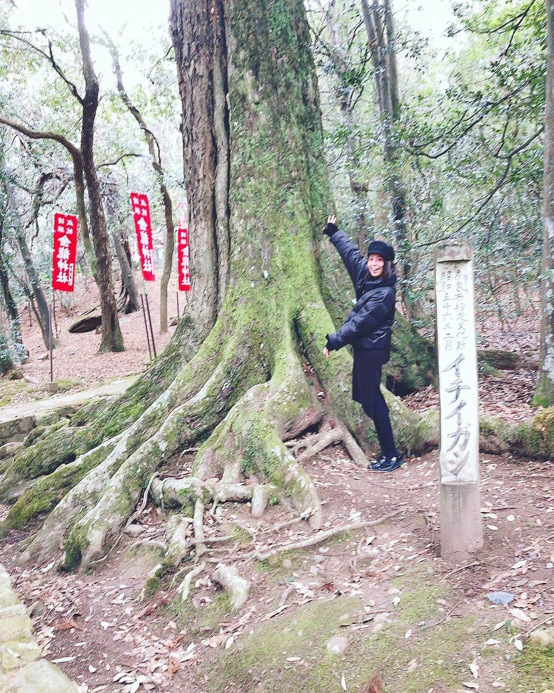 浦田麻緖のインスタグラム