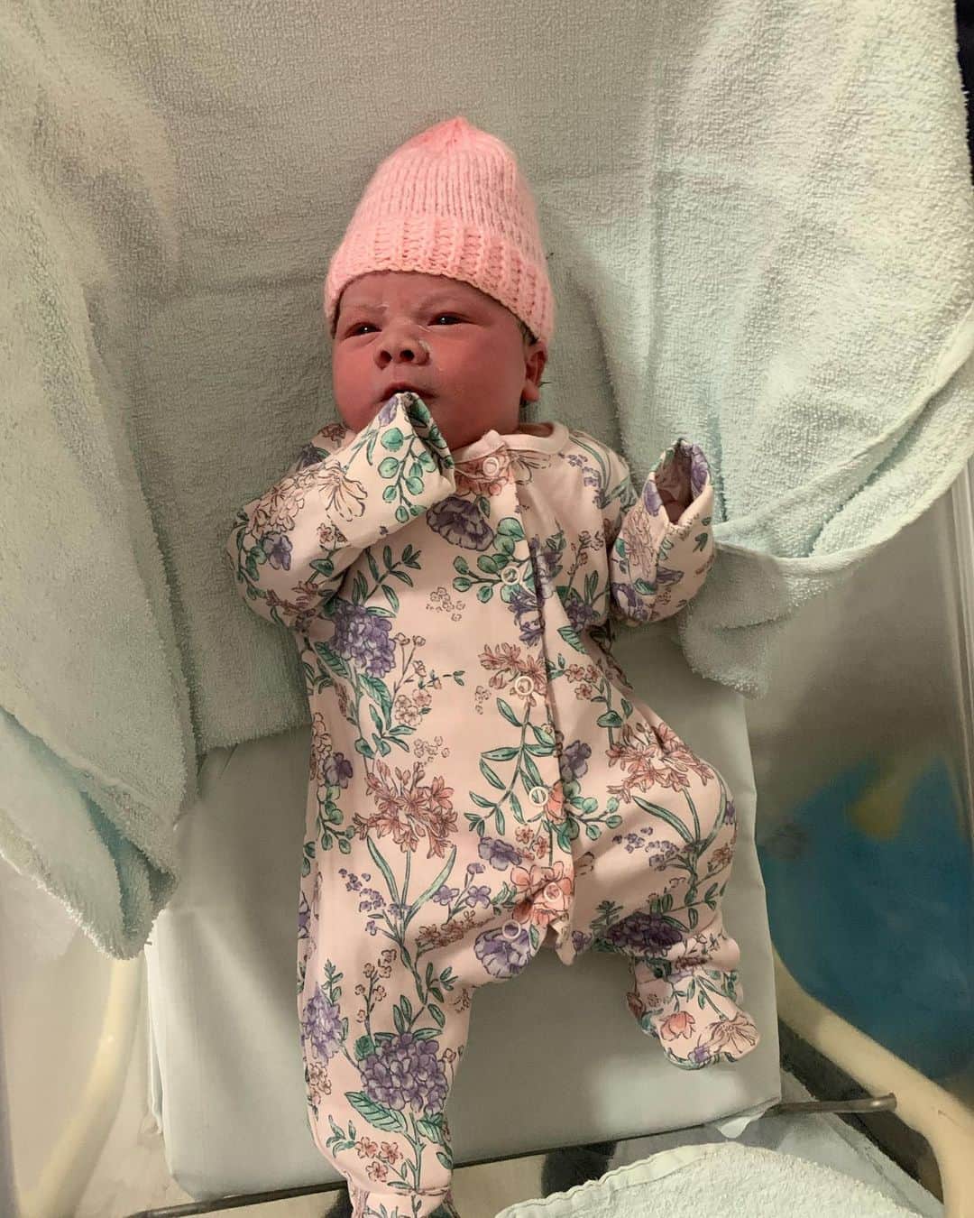 ハリー・トフォロのインスタグラム：「We are complete! Welcome to our crazy family, Sienna. @anniee_bell you’re incredible and so special to all of us. ❤️🥰」