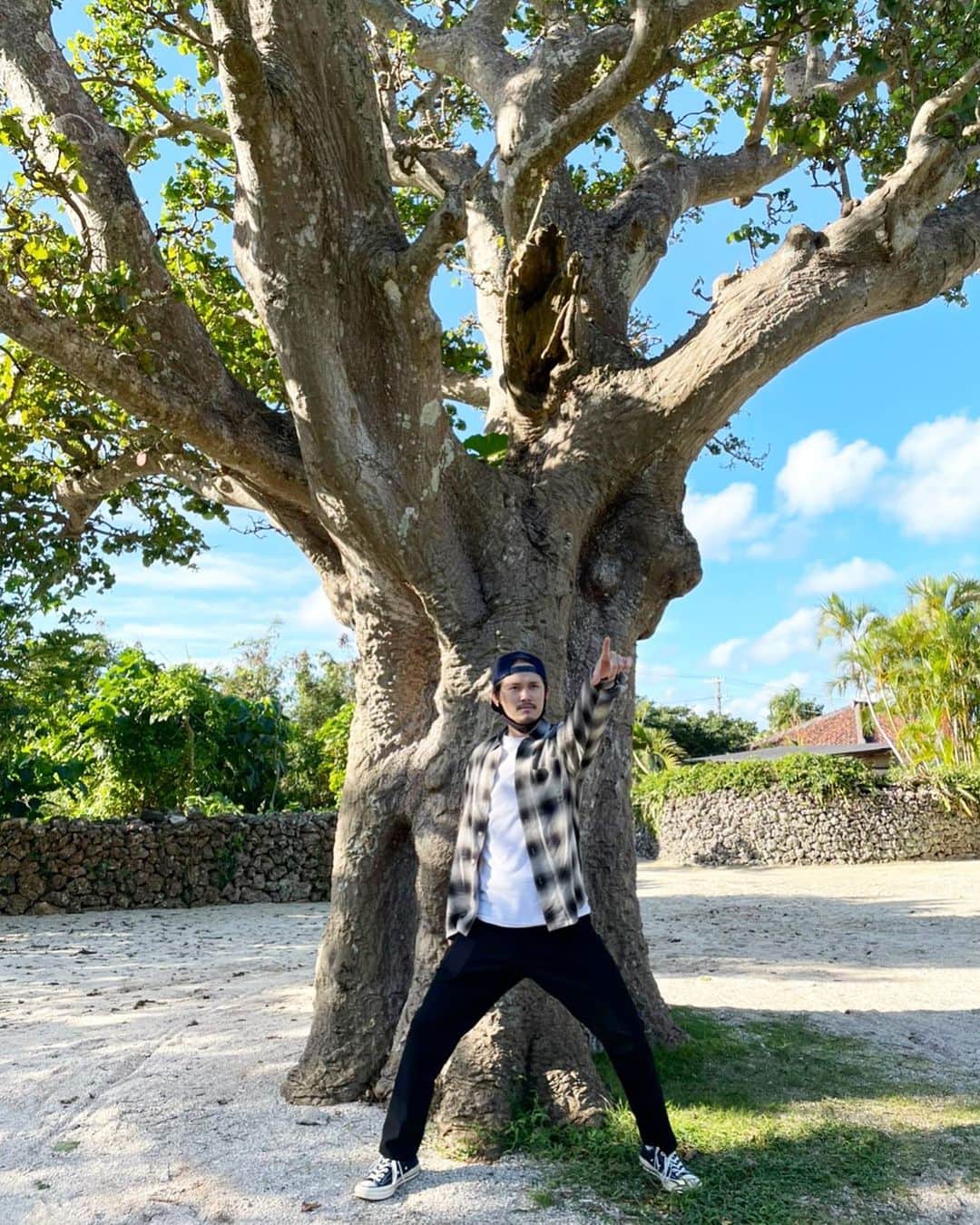 宮城大樹のインスタグラム：「大きな木〜大木〜大樹。  #大樹 #ダブル大樹 #こいつみたいにデカくなる」