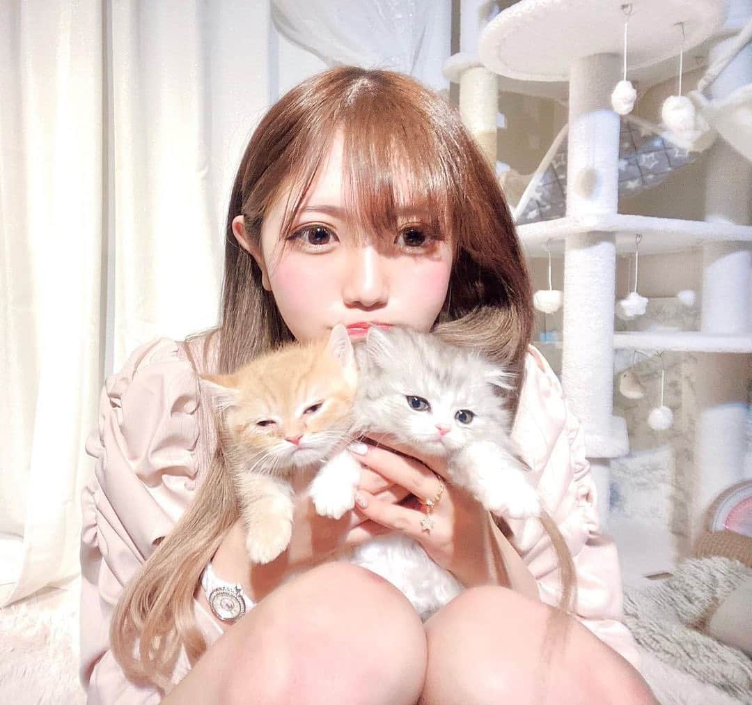 美女美容事情のインスタグラム
