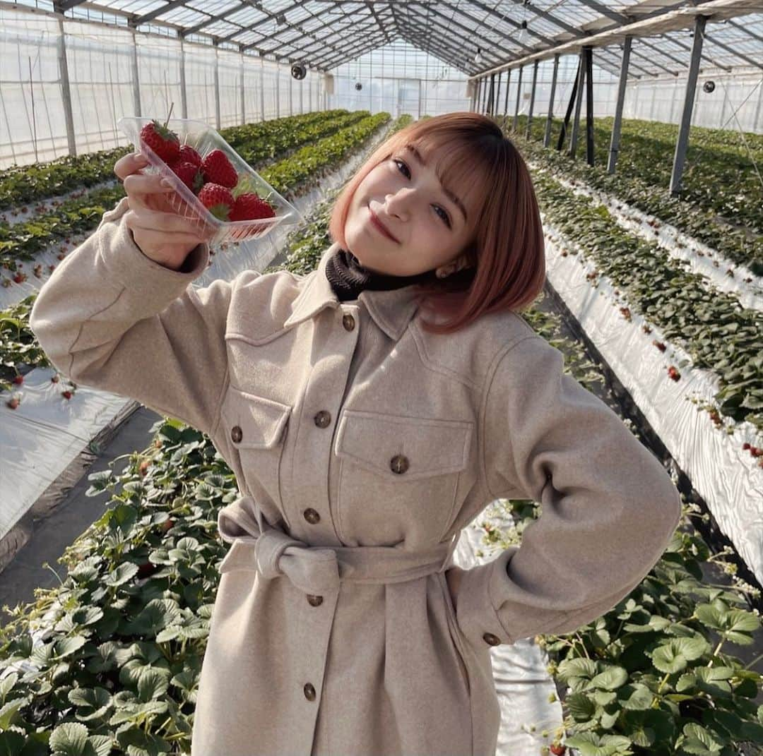 マリナのインスタグラム：「昨日のいちご狩りの写真〜🍓❤️みんないちご何個まで食べられる！？ ・ ・ ・ #いちご狩り #いちご #寒い #マリナダヨ ！」