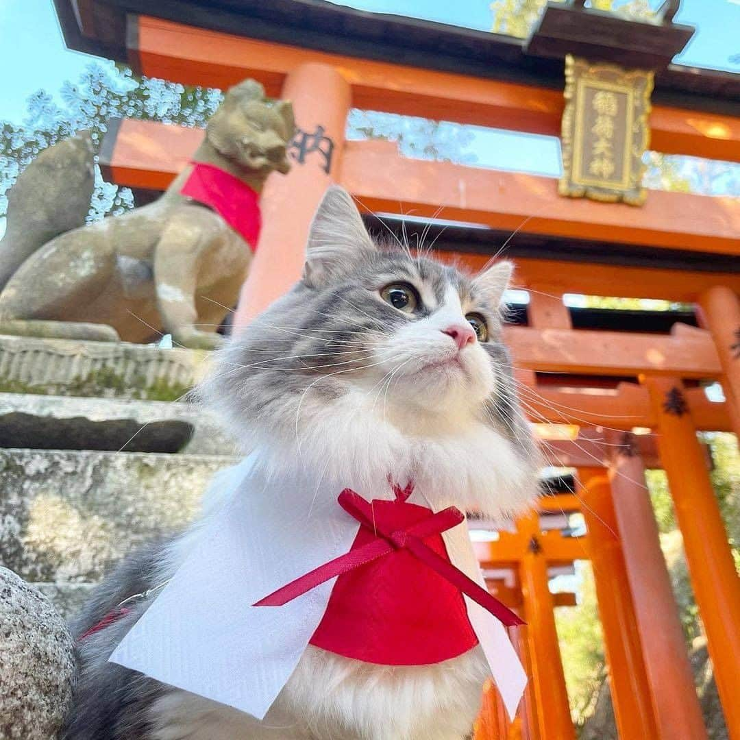 エイチ・アイ・エスのインスタグラム