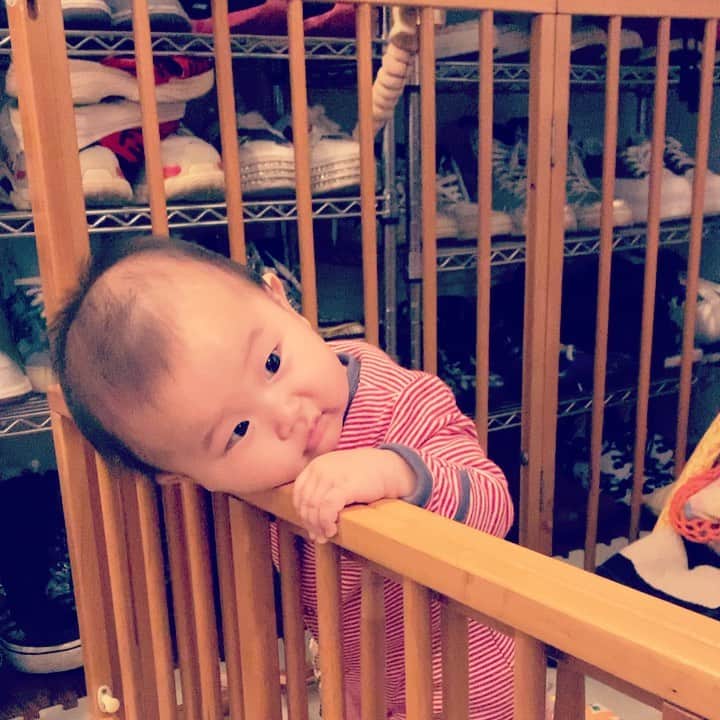 のインスタグラム：「#生後7ヶ月 #つかまり立ち 最近パッと見たら立ってる…こあいけどかあいい(*´Д｀*) 下の歯が生えてきて口がモゴモゴしてる…」