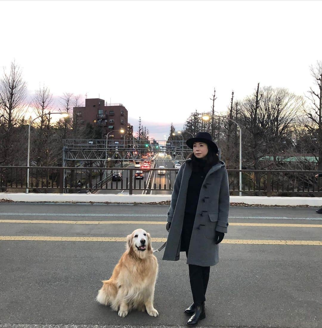 高橋ひとみさんのインスタグラム写真 - (高橋ひとみInstagram)「今日のお散歩🐶 Coat #grenfell1923」1月11日 18時51分 - hitomi_momoe