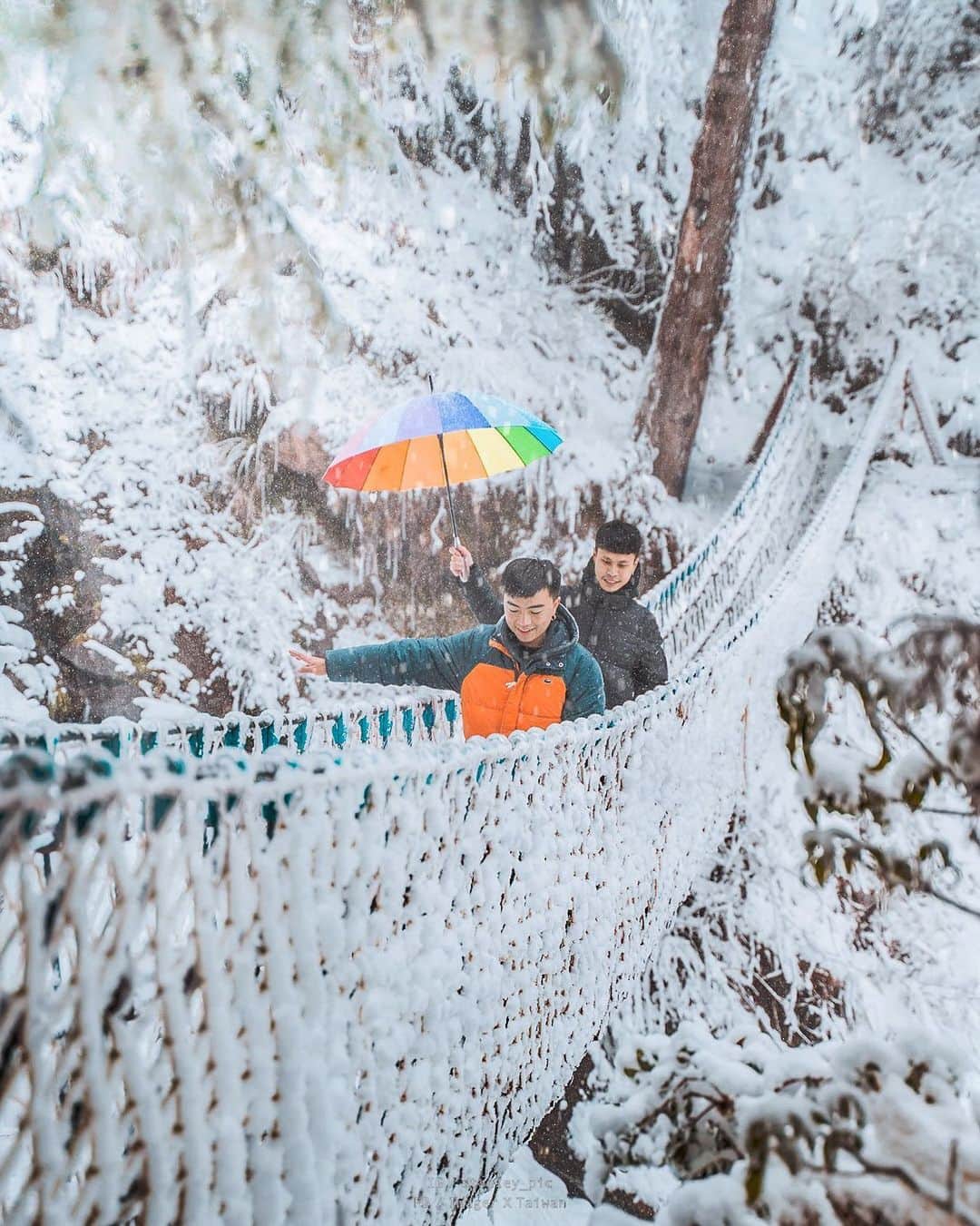 樂さんのインスタグラム写真 - (樂Instagram)「宜蘭太平山。見晴古道❄️❄️❄️ 2021一開始老天爺就送我們一個難得的禮物❄️ 上一次台灣這樣下雪已經是2018年的事了！ 這次的太平山讓很多人驚豔，不用出國就能看到北海道的雪景😭 太平山雪景系列就用這張畫下句點😍 一樣是在見晴的吊橋，從側面拍起來也非常美，大家記得一定要走到最後面拍這個吊橋🔥🔥 太平山賞雪資訊更新請到限動看唷⛄️ - 謝謝 @stanley_pic 幫我們拍到這個可愛的瞬間😚」1月11日 19時04分 - ygt1016
