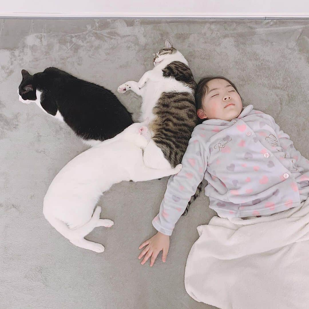 korokoronyaさんのインスタグラム写真 - (korokoronyaInstagram)「❄︎*∗ 11 Jan, 2021  #stayhome 😴😴😴😴 * #ステイホーム #ぐうたらーず  😴😴😴😴 #新成人の皆様 #おめでとうございます * ちびマメはこれから9歳になるんだけど 今年お誕生日の同級生は10歳。 もう…10歳かぁ…。10歳…といえば ハーフ成人式って誰が考えたんだろ…😓？ レンタル屋とかフォトスタジオ考案か😅？ * #まめごまもちびまめ」1月11日 19時41分 - korokoronya