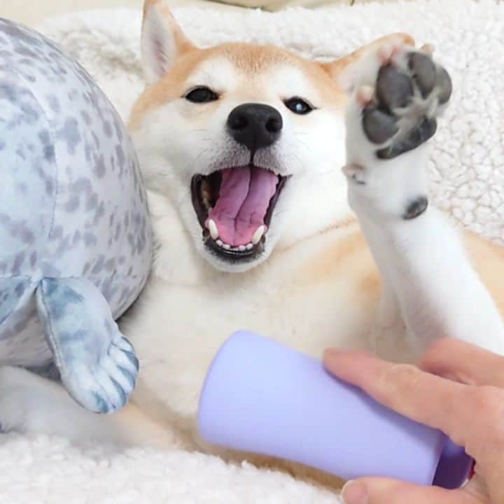 ちゃみのインスタグラム