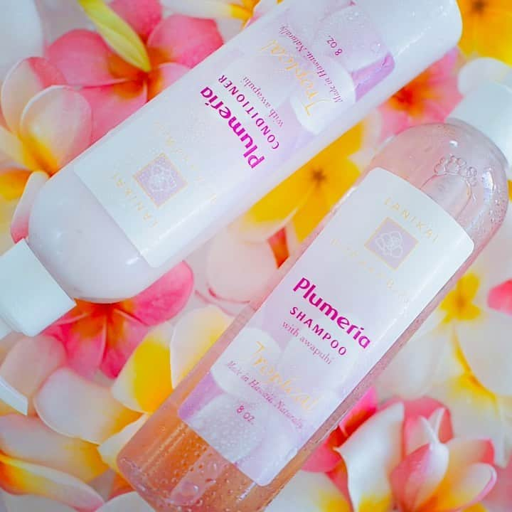 Lanikai Bath and Bodyのインスタグラム