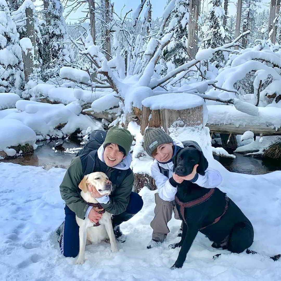 原口るりこさんのインスタグラム写真 - (原口るりこInstagram)「. . 1日オフだったので 雪山に行ってきました🏔✨ . #ドイツ生活  #オフの日の過ごし方  . . 本当はAmazonで買った 手袋やブーツが届いてから行こう。 と話していたのですが… . 『じゃぁその日の… 　　　　視察に行く？』 . って結局 散々遊んで帰ってきました🐒✨ . #視察といって何回も行くw #作戦成功w . . とても幻想的な写真 沢山撮れました✨また投稿します🌿 . 🐕犬たちの 雪で遊ぶ楽しそうな動画は "えなスタ"に載せます♡ @labrador_ena_haraguchi  . . #ドイツで犬と暮らす #ラブラドール#大型犬#ドイツ暮らし#ラブラドールレトリバー #犬との暮らし #犬と暮らす #大型犬のいる暮らし #labrador #labradorretriever #lab  #都会から離れた暮らし#自然と暮らす#自然を楽しむ暮らし」1月12日 6時08分 - ruriko_haraguchi24