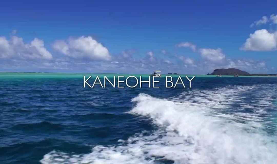 Luxury Cruise by Captain Bruceのインスタグラム：「天国の海ツアーの催行を一部再開しております。⁠ ⁠ タートルウォッチング&シュノーケリングツアーのAM、PMを限定日時で催行。また、スピードボートとラグジュアリーモーターヨットのプライベートクルーズを月~土曜、3時間、6時間でご利用いただけます。⁠ ⁠ ⁠ #captainbruce ⚓ #kaneohesandbar #hawaii #oahu #fun #explorehawaii #ahuolaka #ahuihou #ocean #water #island #aloha #havealohawilltravel #hawaiiinstagram #キャプテンブルース #天国の海ツアー #天国の海 #サンドバーツアー #アフオラカ #ハワイ大好き #オアフ島 #絶景 #海 ⁠」