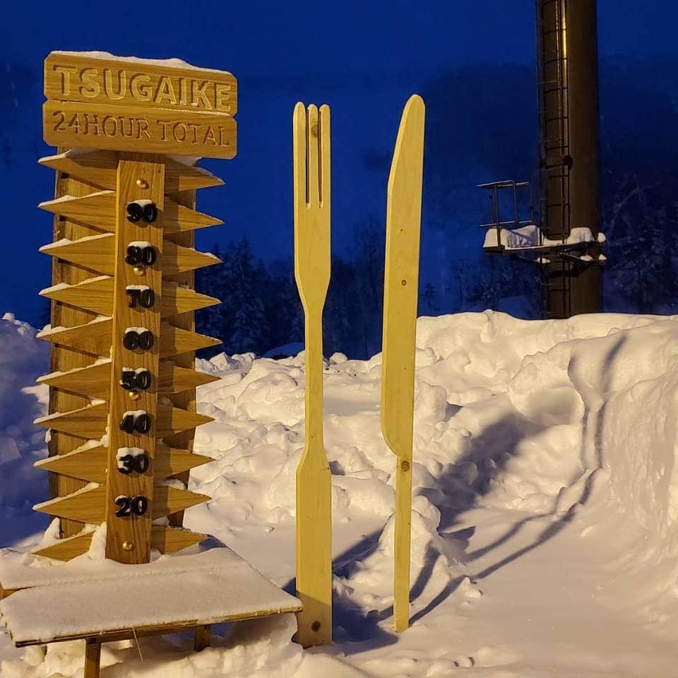 栂池高原スキー場さんのインスタグラム写真 - (栂池高原スキー場Instagram)「おはようございます‼️ 朝イチレポートです。気温 -5℃　風速 2m/s　 天候　雪  きれいに整備されたゲレンデをお楽しみください。 皆様のご来場お待ちしています‼️  https://www.tsugaike.gr.jp/  #栂池 #栂池高原スキー場 #tsugaike #栂池自然園 #白馬つがいけwow #高山植物 #栂池自然園  #夏山 #花　#山　#栂池高原　 #北アルプス　#後立山連峰 #白馬 #白馬連峰 #青空  #冬山 　#パウダー #スキー　#スノボ #greenseason #summer #trecking #hakuba #hiking #mountain #flowers #tsugaike」1月12日 7時21分 - tsugaike_kogen