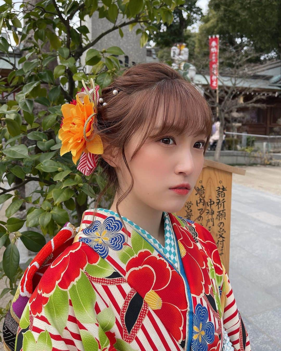 坂本 愛玲菜さんのインスタグラム写真 - (坂本 愛玲菜Instagram)「本日、成人式を迎えさせて頂きました。﻿ 大人としての自覚を持って、行動していきたいと思います。そして、目標を叶える年にします。二十歳の坂本愛玲菜もよろしくお願いします！﻿ #2021 #ソロ公演 ﻿ ﻿ 振袖提供 👘 @mayunokai」1月11日 22時26分 - erena_hkt48