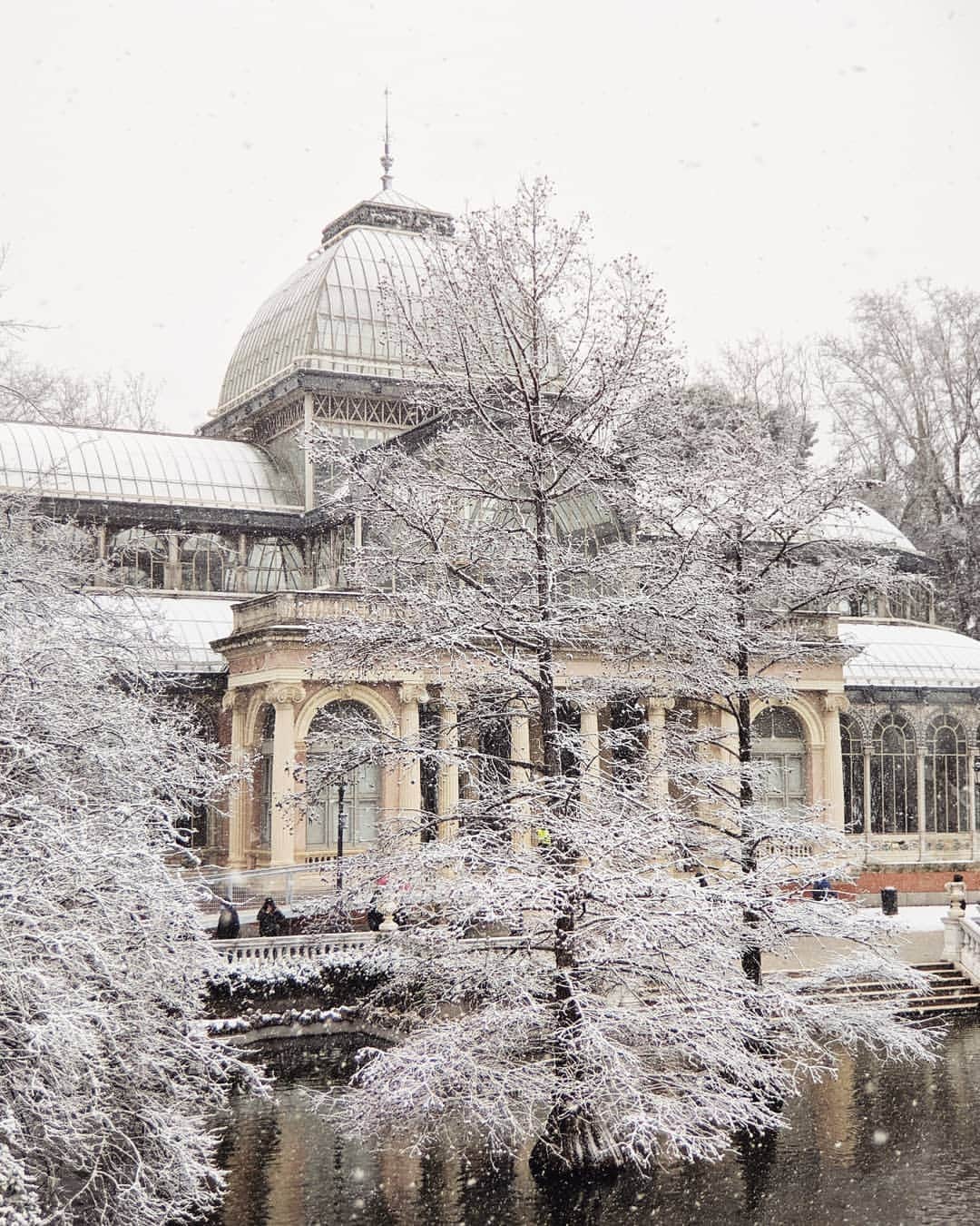 Guido Gutiérrez Ruizさんのインスタグラム写真 - (Guido Gutiérrez RuizInstagram)「A snowy dream ❄️ Un sueño nevado #Madrid」1月11日 22時27分 - guigurui