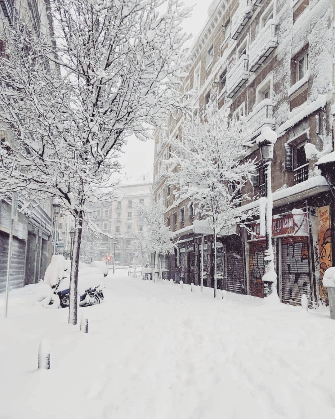 Guido Gutiérrez Ruizさんのインスタグラム写真 - (Guido Gutiérrez RuizInstagram)「A snowy dream ❄️ Un sueño nevado #Madrid」1月11日 22時27分 - guigurui
