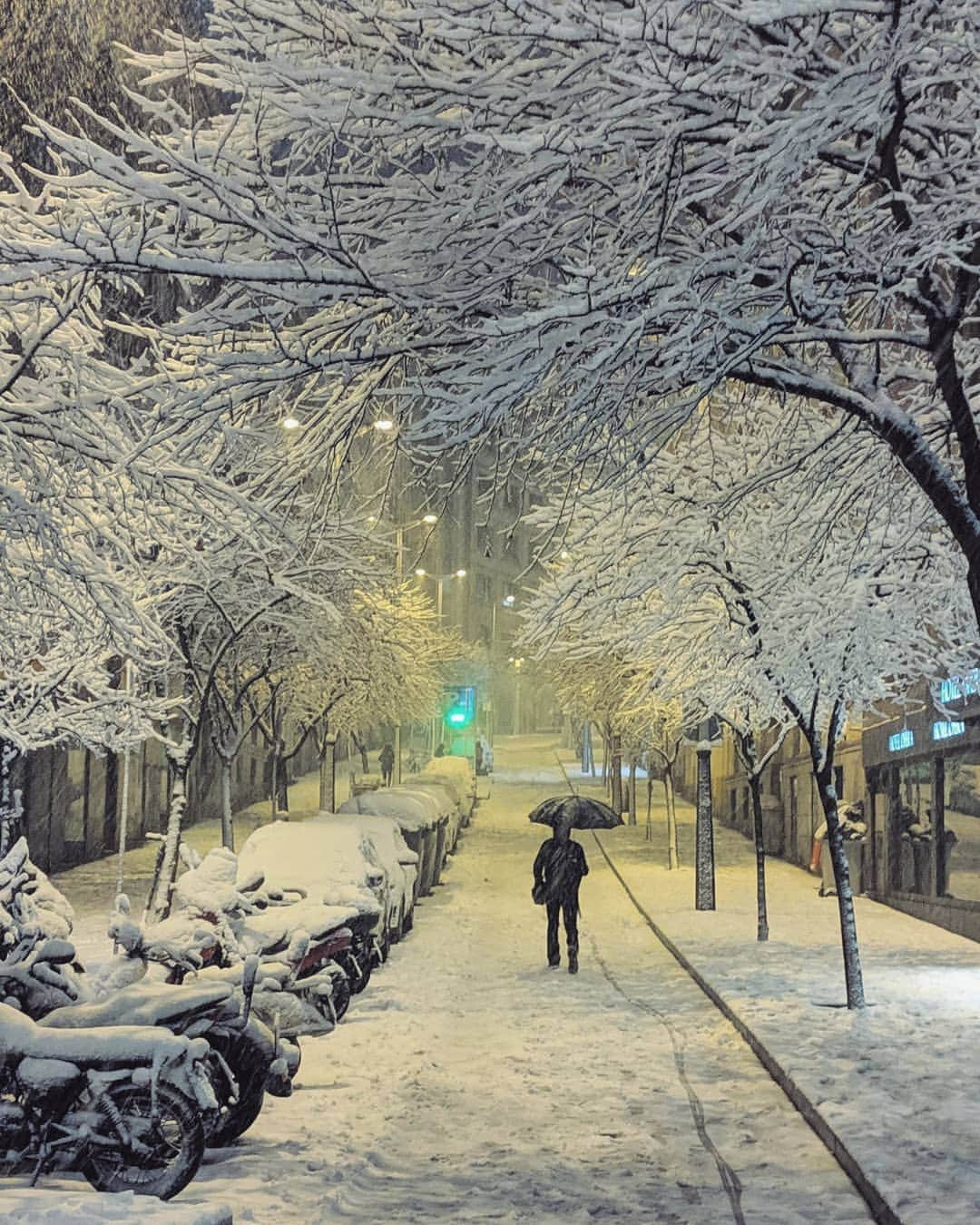 のインスタグラム：「A snowy dream ❄️ Un sueño nevado #Madrid」