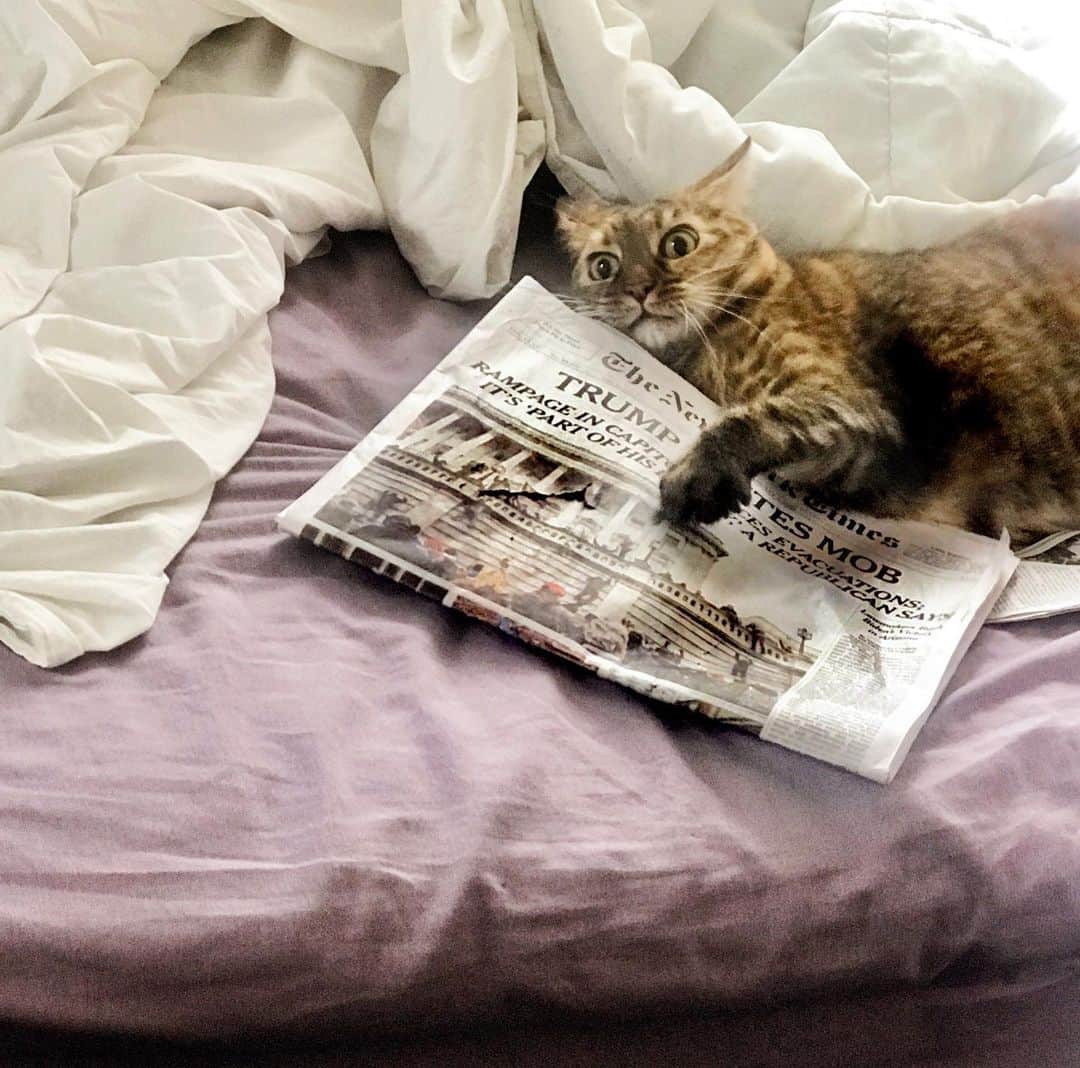 エイドリアン・ブロディのインスタグラム：「🙀THE CAT’S OUT OF THE BAG ©2021 #photo by #sylviaplachy」