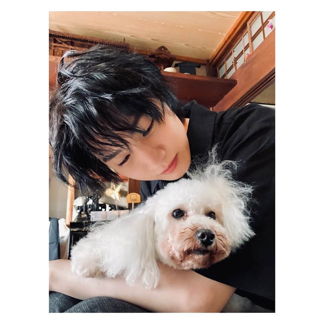のインスタグラム：「🐶  富江おばあちゃんの愛犬、武蔵とヨシさん。  美男美女だけでなく可愛いわんちゃんたちが 続々と登場します🐕🐩💓 なんて眼福なんでしょう☺️  なんとTVerでは第２位🎖 本当にたくさんの方に見て頂けて嬉しい限りです🥺🤍 ありがとうございます！  三連休の最後にぜひ #3Bの恋人 を 宜しくお願いします😌❕  #桜田通」