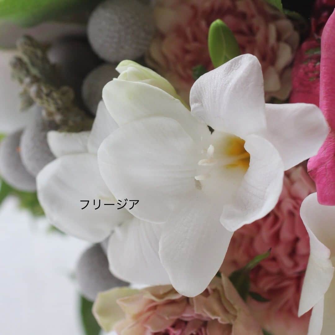 雑誌『花時間』さんのインスタグラム写真 - (雑誌『花時間』Instagram)「開運メッセージ付きの花の定期便、第2回目が到着しました (^^♪。 こちらが、その花束を飾ったもの。 今回のキーカラーは、白とピンク。 バラ「花時間」も入っています✌ バラはもう1種、大輪が✨✨ 品種名は2枚目からのpicでどうぞ。 春の香り花も入っていて、部屋がやさしい香りに包まれています💕 おこもりを彩ってくれて嬉しい～。  気になるお値段は、送料・税込みで6050円です。  花　@hanadouraku   #flowers #flowerslovers #flowerstagram #flowerarrangement #花時間 #花時間2021 #バラ #バラ花時間  #花好き #花好きな人と繋がりたい #花が好きな人と繋がりたい #花のある生活 #花のある暮らし #花を飾る #花を飾る生活 #暮らしを楽しむ #花の定期便 #毎月旬の花が届く #花のサブスク #花のサブスクリプション #花で帰省しよう #花を贈る #ビタミンf #花屋さんへ行こう」1月11日 23時12分 - hanajikan_magazine