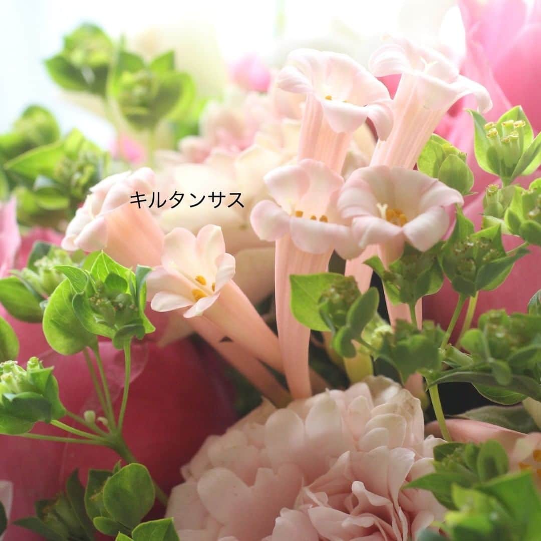 雑誌『花時間』さんのインスタグラム写真 - (雑誌『花時間』Instagram)「開運メッセージ付きの花の定期便、第2回目が到着しました (^^♪。 こちらが、その花束を飾ったもの。 今回のキーカラーは、白とピンク。 バラ「花時間」も入っています✌ バラはもう1種、大輪が✨✨ 品種名は2枚目からのpicでどうぞ。 春の香り花も入っていて、部屋がやさしい香りに包まれています💕 おこもりを彩ってくれて嬉しい～。  気になるお値段は、送料・税込みで6050円です。  花　@hanadouraku   #flowers #flowerslovers #flowerstagram #flowerarrangement #花時間 #花時間2021 #バラ #バラ花時間  #花好き #花好きな人と繋がりたい #花が好きな人と繋がりたい #花のある生活 #花のある暮らし #花を飾る #花を飾る生活 #暮らしを楽しむ #花の定期便 #毎月旬の花が届く #花のサブスク #花のサブスクリプション #花で帰省しよう #花を贈る #ビタミンf #花屋さんへ行こう」1月11日 23時12分 - hanajikan_magazine