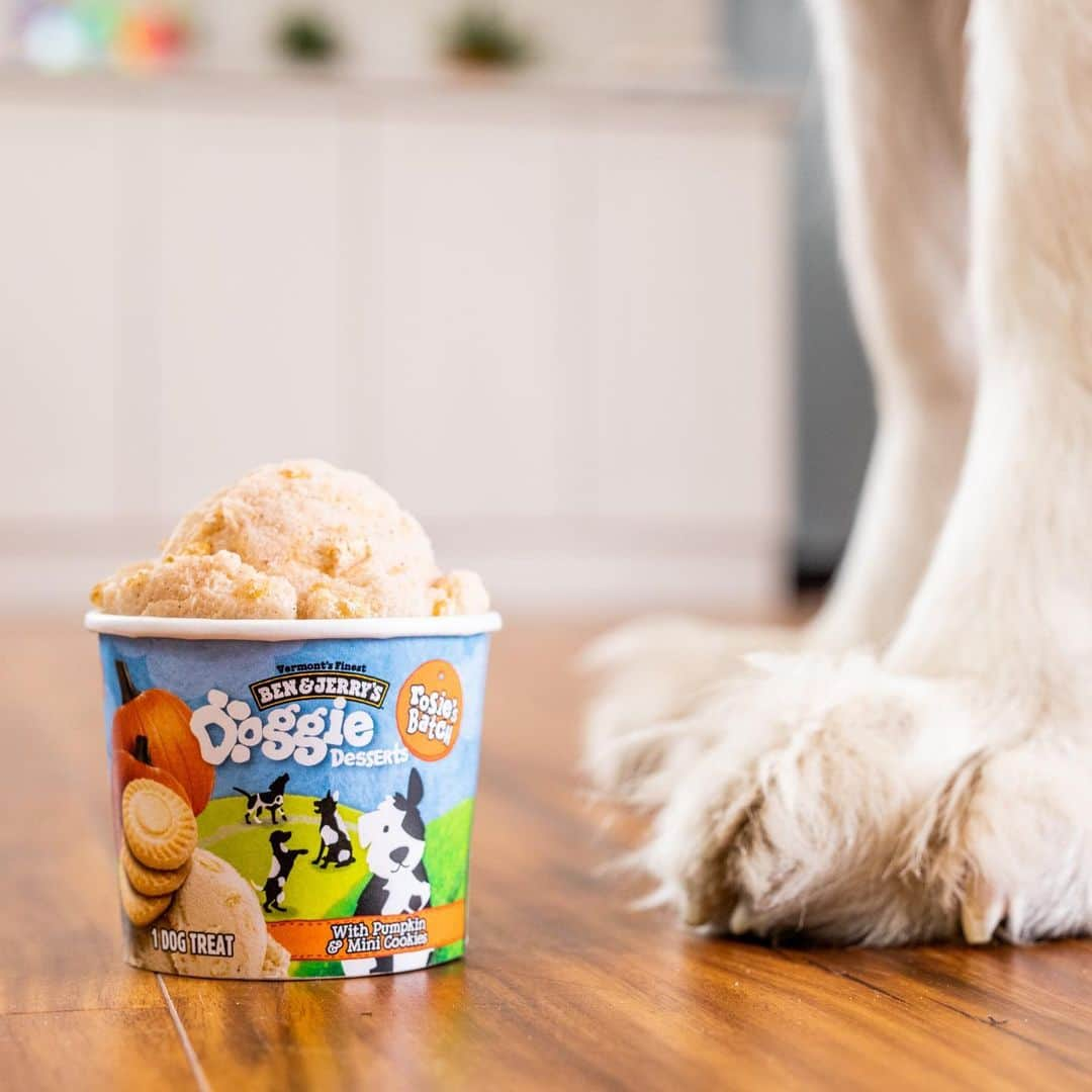 Ben & Jerry'sさんのインスタグラム写真 - (Ben & Jerry'sInstagram)「🐶 NEW! 🐶 Introducing Doggie Desserts — it's Ben & Jerry's for dogs! Bow WOW your pooch with 2 pup-friendly flavors. Link in bio!」1月11日 23時13分 - benandjerrys