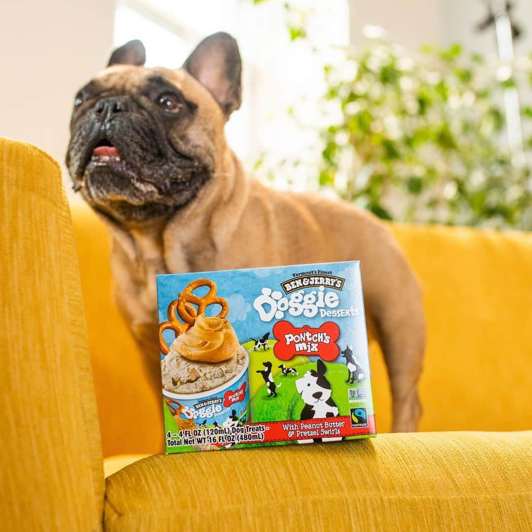 Ben & Jerry'sさんのインスタグラム写真 - (Ben & Jerry'sInstagram)「🐶 NEW! 🐶 Introducing Doggie Desserts — it's Ben & Jerry's for dogs! Bow WOW your pooch with 2 pup-friendly flavors. Link in bio!」1月11日 23時13分 - benandjerrys