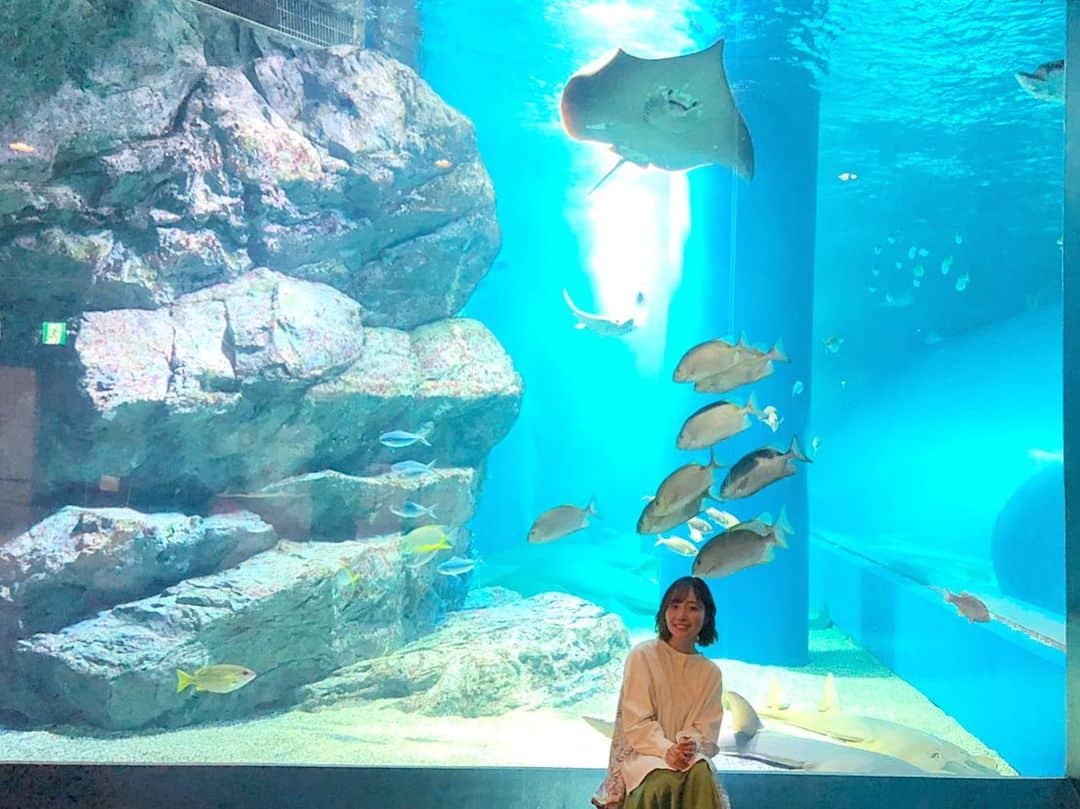 宮本侑芽のインスタグラム：「. 映画「#ジョゼと虎と魚たち 」 生放送ありがとうございました🐠  なんと放送は！ #マクセルアクアパーク品川 さんから お届けしましたっ！  まさかの水族館からの放送...！  興津さんとLynnさんとゆっくり #ジョゼ虎 についてお話しできて とっても幸せな時間でした〜！  見てくださった方々 ありがとうございましたっ！  スクロールすると エイたちのダンスが見られるよ🤤  #宮本侑芽」