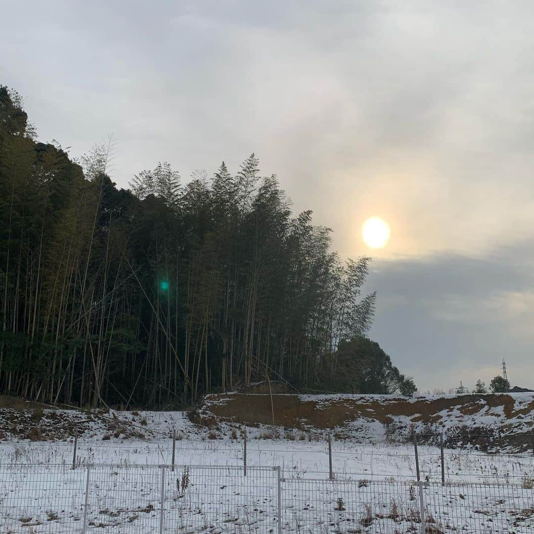 芦沢竜誠のインスタグラム：「雪と竹と山と雲と太陽 今年入ってまだパワーが 増してきた！ もっと成長した芦澤竜誠見せれるので 楽しみに 今しか出来ないことを 全力でやるべき🤝🌹  #雪 #山#太陽#雲 #パワースポット」