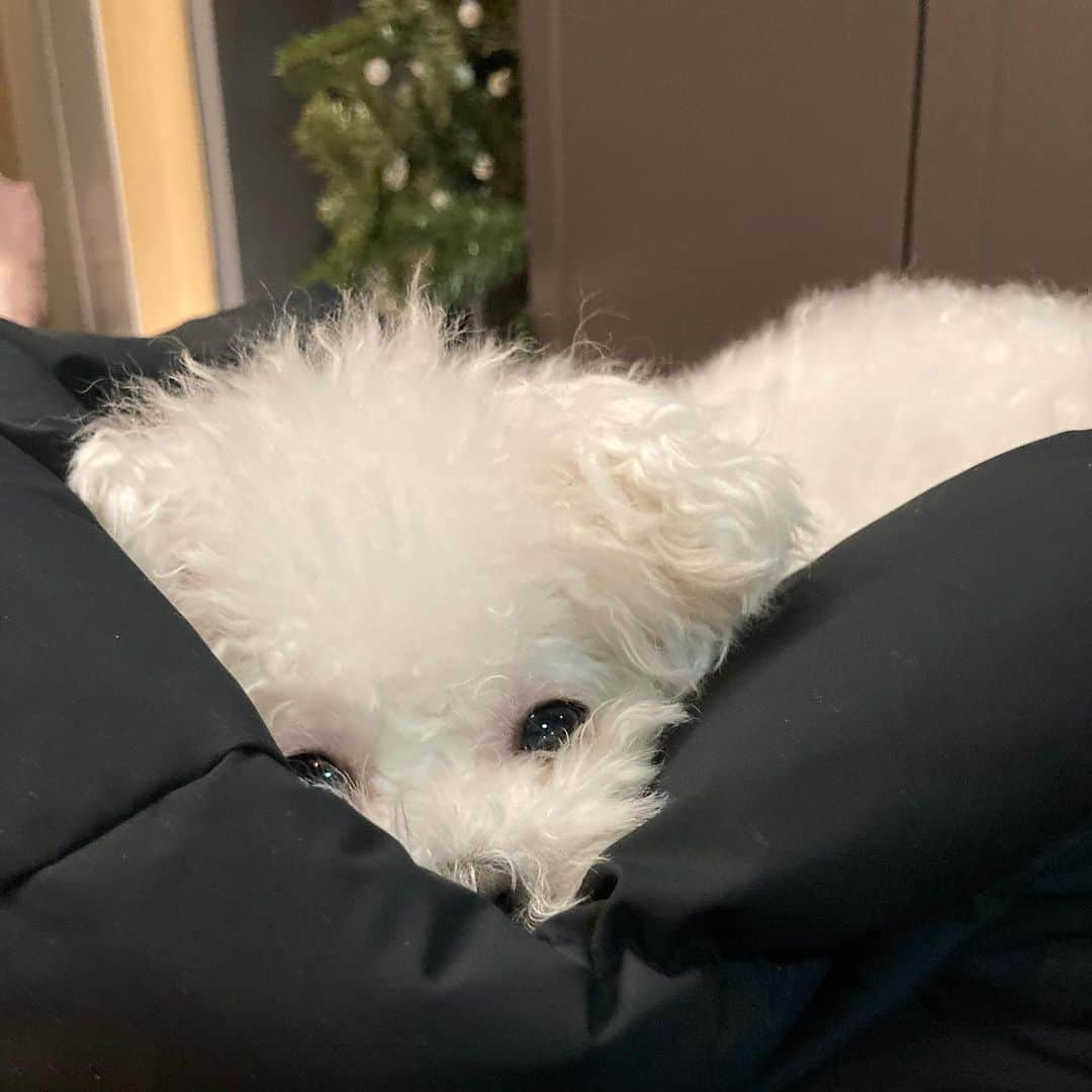 パーク・ファン・ヒーのインスタグラム：「엄마 패딩이 제일 좋아?」
