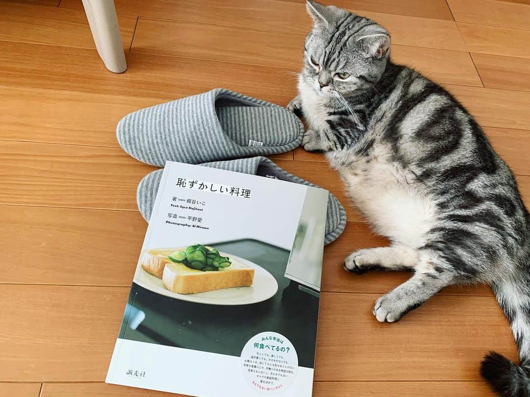 加納有沙さんのインスタグラム写真 - (加納有沙Instagram)「床に転がって「恥ずかしい料理」を読む。」1月11日 23時36分 - alissakano