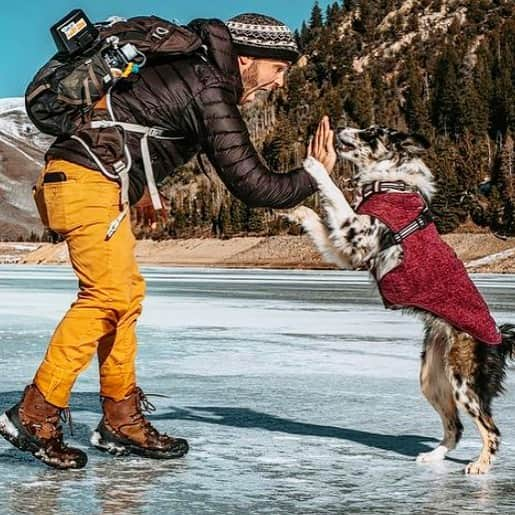 オボズさんのインスタグラム写真 - (オボズInstagram)「High five or high paw: whatever your preference, you deserve it! 🐾🥾  📸 #oboztruist @justincarrolll  . . . . #truetothetrail #obozfootwear #hiking #exploring #adventuring #trail #trekking」1月12日 0時09分 - obozfootwear