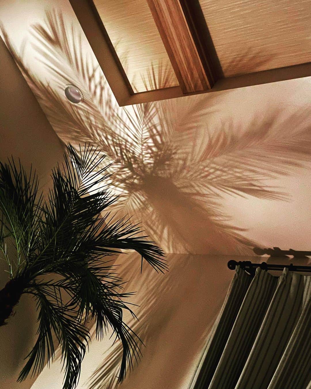二宮愛のインスタグラム：「おやすみ🌙」