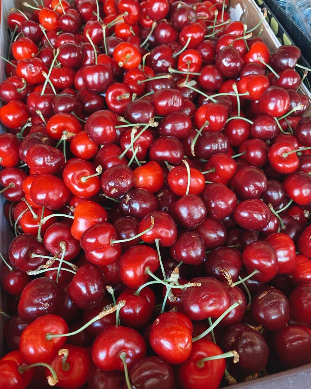 ロッティー・トムリンソンのインスタグラム：「🍒 what’s everyone’s fave fruit? Mine is prob 🍓 or 🍌」