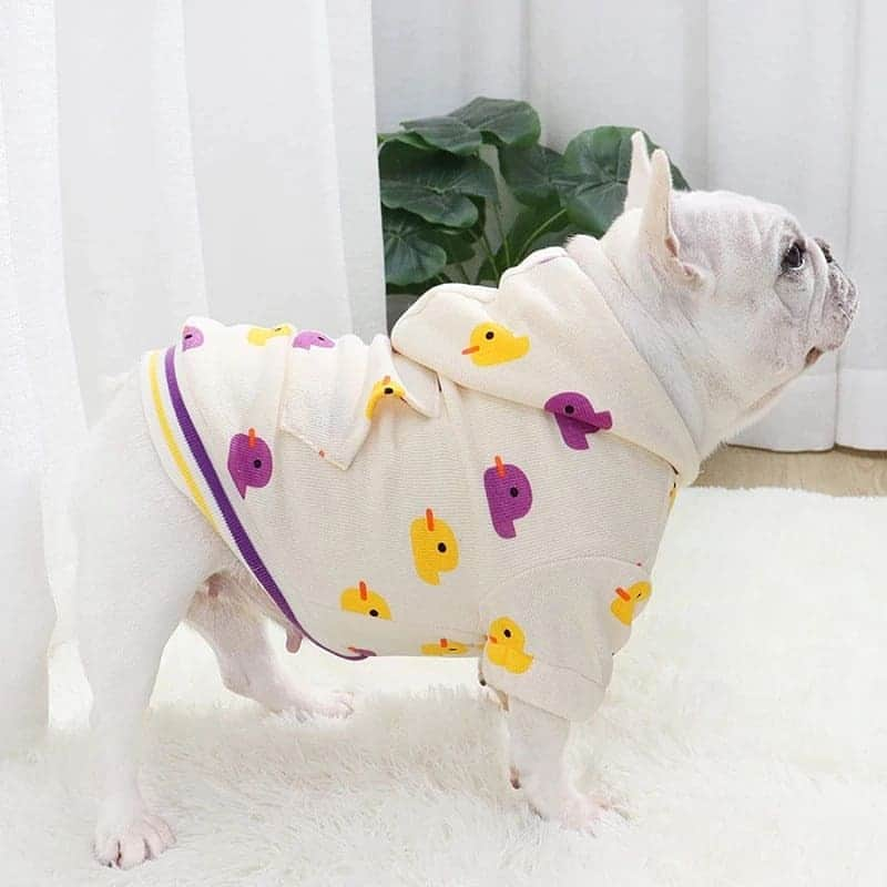 French Bulldogさんのインスタグラム写真 - (French BulldogInstagram)「Purple Ducks Frenchie Hoodie 🦆🦆🦆 Exclusive in @frenchie.world shop 🛍🛍🛍 👉 LINK IN BIO 🔝 . . . . . #frenchbulldog #french_bulldogs #frenchie #frenchies #frenchieworld #frenchbulldoglife #frenchbulldoglove #frenchiesofinstagram #frenchie_photos #frenchielove #frenchielovers #frenchiemagazine #ブヒブヒ倶楽部公式 #フレンチブルドッグ #フレンチブルドッグパイド #フレンチブルドッグブリンドル #多頭飼い #犬服 #犬服ハンドメイド #どんぐり帽子 #ベアーボア帽」1月12日 0時39分 - frenchie.world