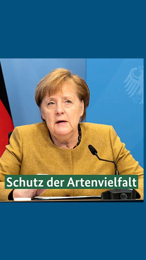 アンゲラ・メルケルのインスタグラム：「Deutschland tritt der „High Ambition Coalition for Nature and People“ bei. Wir setzen uns dafür ein, weltweit 30 Prozent der Landes- und Meeresflächen zu schützen. Ich werbe sehr dafür, dass sich auch weitere Staaten einbringen – so Kanzlerin #Merkel beim heutigen „One Planet Summit for Biodiversity“. --- Germany joins the High Ambition Coalition for Nature and People. We are committed to the protection of 30 percent of the world's land and marine areas. I strongly encourage other countries to get involved - Chancellor Merkel at today's One Planet Summit for Biodiversity. . . . #Naturschutz #Artenschutz #Biodiversität #Natur #Tiere #Tierschutz #Pflanzen #Merkel #Kanzlerin #OnePlanetSummit #HighAmbitionCoalition #nature #biodiversity #conservation」