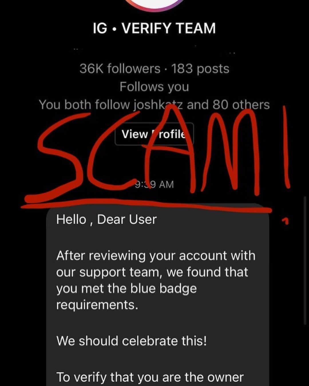 The Berricsさんのインスタグラム写真 - (The BerricsInstagram)「It has come to our attention that there is a popular Instagram phishing scam going around lately which has already claimed the accounts of some very well known skateboarders. If you receive any messages like this, please do not click on any links, report and block the account. We know how hard you work to build up your following and know how devastating it could be to lose it all with a couple clicks. Be smart. Instagram will never contact to verify your account. Don’t use 3rd party apps that want your account information. Check the URLs that these links send you to. Never discuss your account with anyone you don’t know. If you or someone you know has had their account stolen recently, please comment and tag them so we can help build their following back up. We hope this warning will save at least one of you some heartache. Stay safe. Be smart. We love you. ❤️」1月12日 2時57分 - berrics