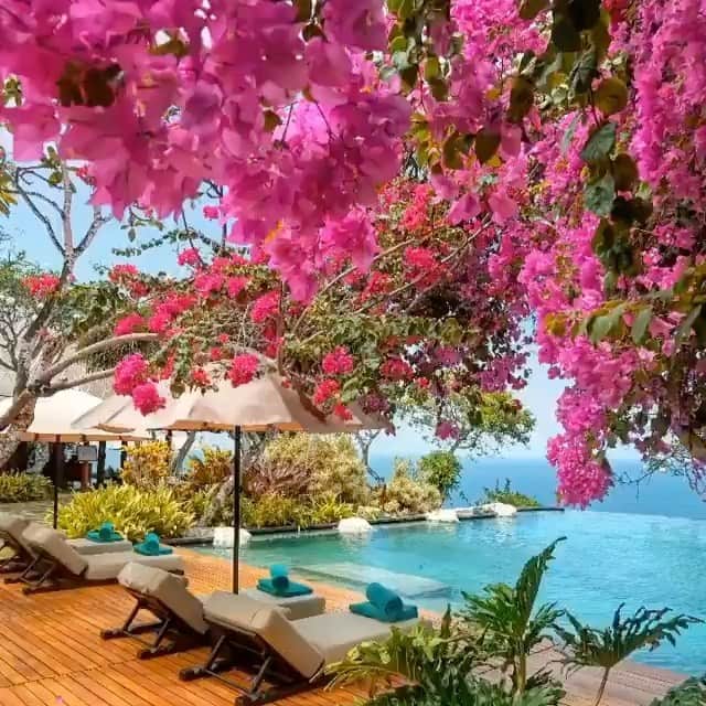 ニコール・ミッチェル・マーフィーのインスタグラム：「A beautiful resort in Bali. This is definitely on my travel list. Who has traveled to Bali?  #natrualbeauty #baliresort #travel #yfoy #everydayconfidence」