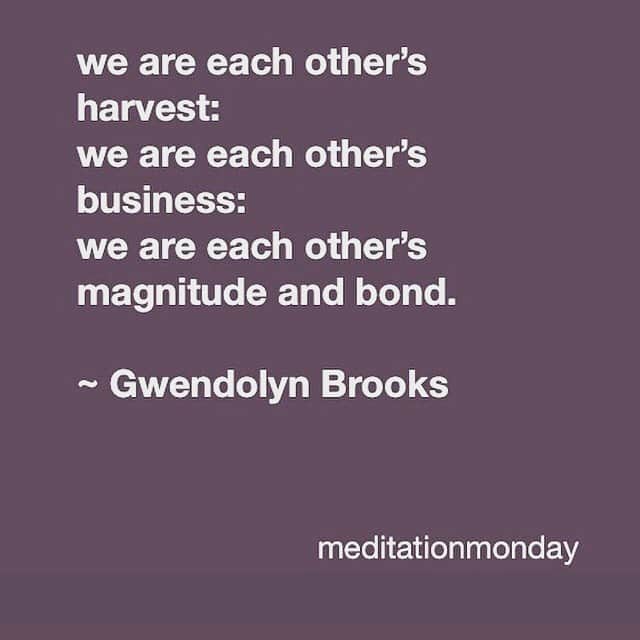 Beam & Anchorのインスタグラム：「This evening at #meditationmonday we will explore what it could mean and feel like to live out of kinship. ✨✨7-8:30 PST. By sliding scale donation; no one turned away due to lack of funds. All warmly welcomed, details to join via bio link. ✨ With @dashmargaret @openspacemindfulness」