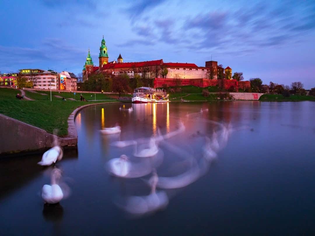 National Geographic Travelさんのインスタグラム写真 - (National Geographic TravelInstagram)「Photo by @babaktafreshi / The Wawel Royal Castle is seen at dusk on the bank of the Vistula River in Krakow, Poland. The swimming swans added an abstract feel to this time-exposure photograph. In 1978 the castle became the first UNESCO World Heritage site. The list now has more than a thousand sites. #krakow #poland #worldheritage」1月12日 4時36分 - natgeotravel