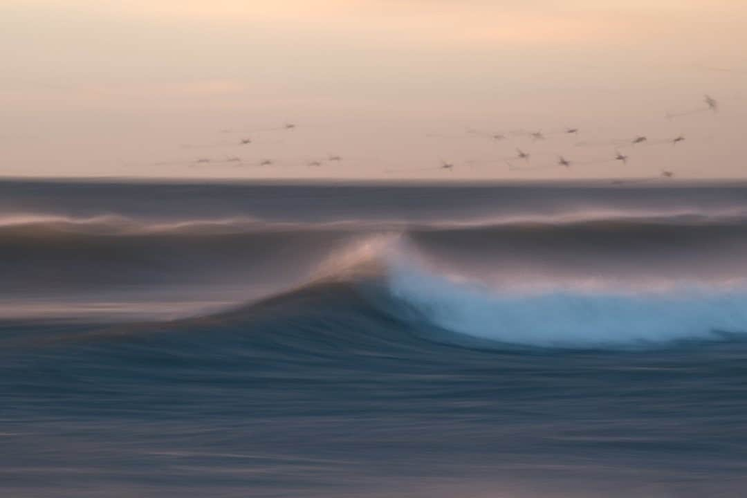 ナショナルジオグラフィックさんのインスタグラム写真 - (ナショナルジオグラフィックInstagram)「Photo by @kiliiiyuyan / Eider ducks shoot over the waves at a beach in South Iceland. Much of the life across the Arctic is coastal or dependent on the ocean's resources. Follow me @kiliiiyuyan for more about the Arctic and beyond. #iceland #north」1月12日 4時37分 - natgeo