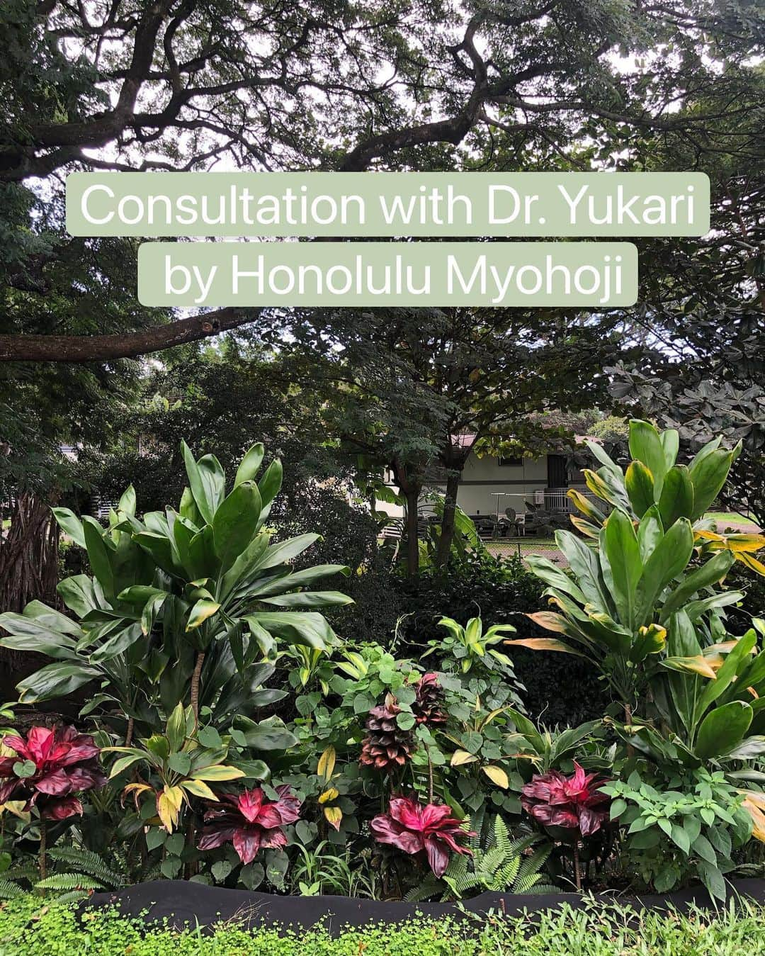 Honolulu Myohoji Missionのインスタグラム